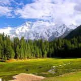 Horseback riding safari in Northern Pakistan with camping: Fairy Meadow and Nanga Parbat Base Camp (June to end of Sept)