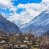 10-Day Hunza Valley Cherry Blossom Experience